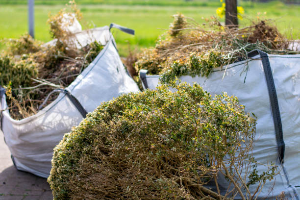 Best Junk Removal for Businesses  in South River, NM