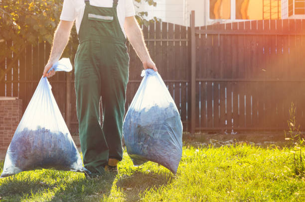 Best Affordable Junk Removal Services  in South River, NM