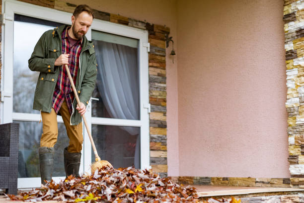 Best Electronics Removal Services  in South River, NM