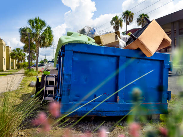 Best Dumpster Rental Services  in South River, NM